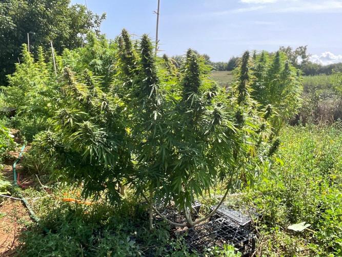 OUTDOOR BEAST. Week 23 - ZILLIONS💶