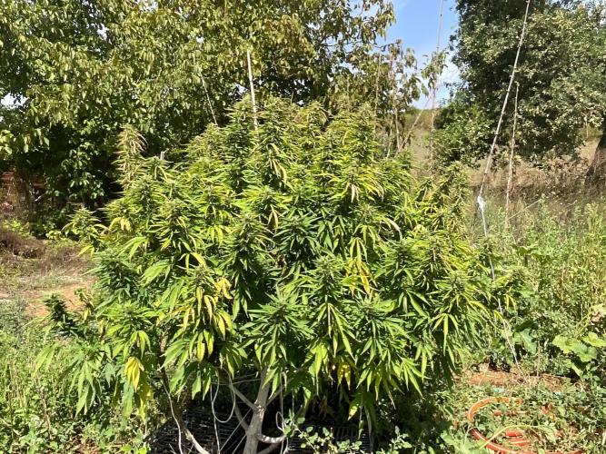 OUTDOOR BEAST. Week 23 - ZILLIONS💶