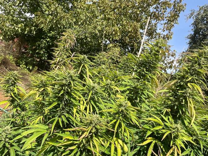 OUTDOOR BEAST. Week 23 - ZILLIONS💶