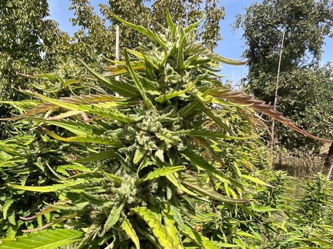 OUTDOOR BEAST. Week 23 - ZILLIONS💶