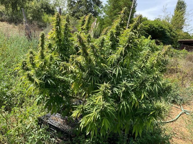OUTDOOR BEAST. Week 23 - ZILLIONS💶