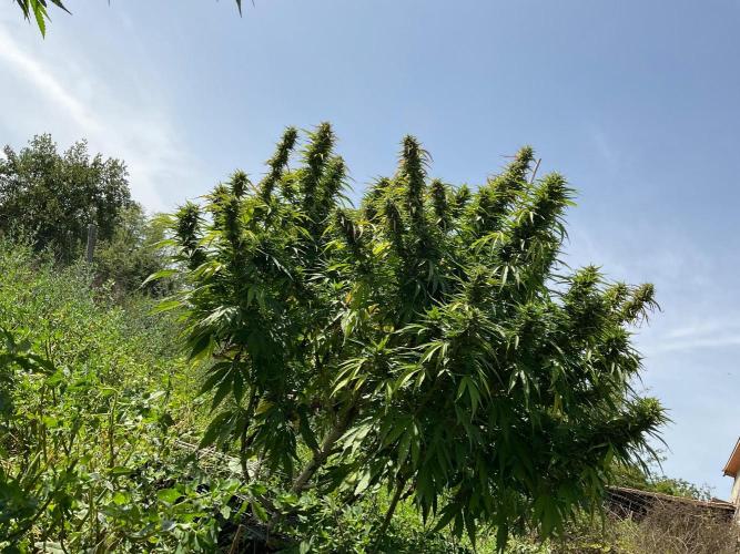 OUTDOOR BEAST. Week 23 - ZILLIONS💶