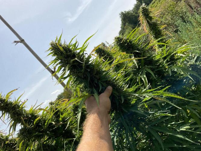 OUTDOOR BEAST. Week 23 - ZILLIONS💶