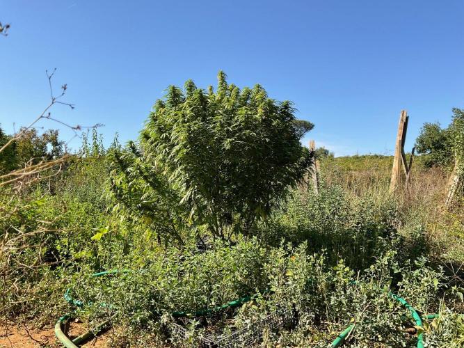 OUTDOOR BEAST. Week 24