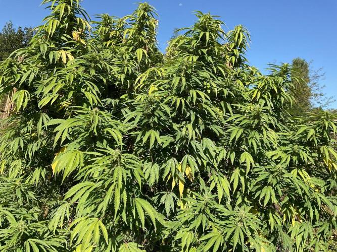 OUTDOOR BEAST. Week 24