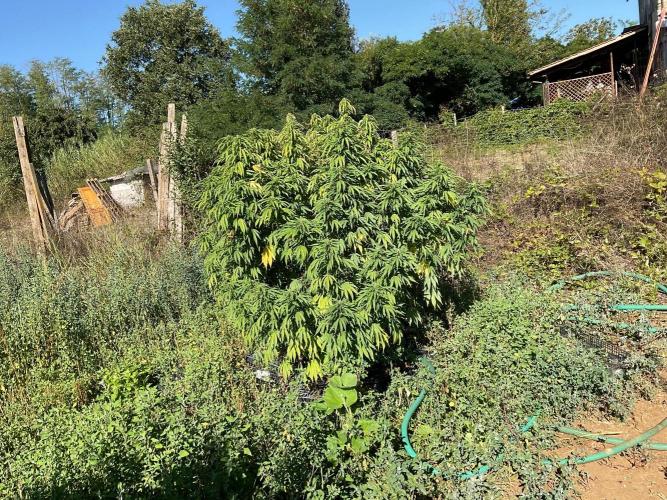 OUTDOOR BEAST. Week 24
