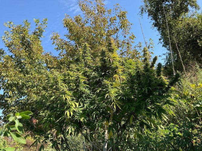 OUTDOOR BEAST. Week 24