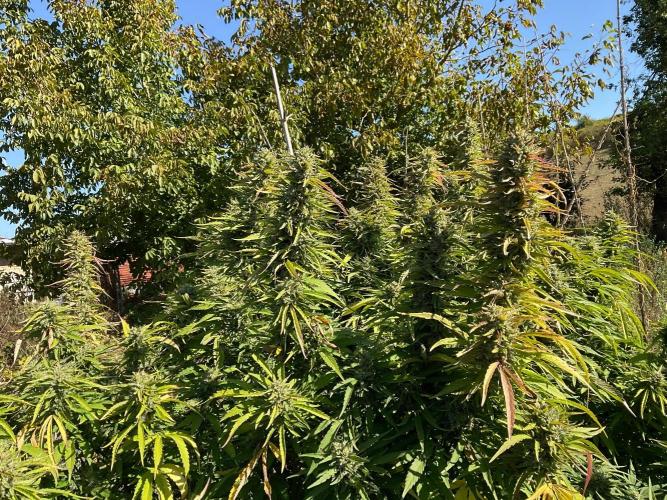 OUTDOOR BEAST. Week 24