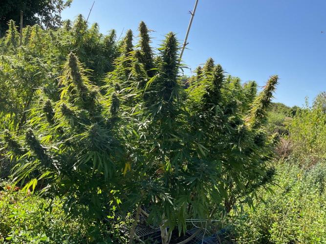 OUTDOOR BEAST. Week 24