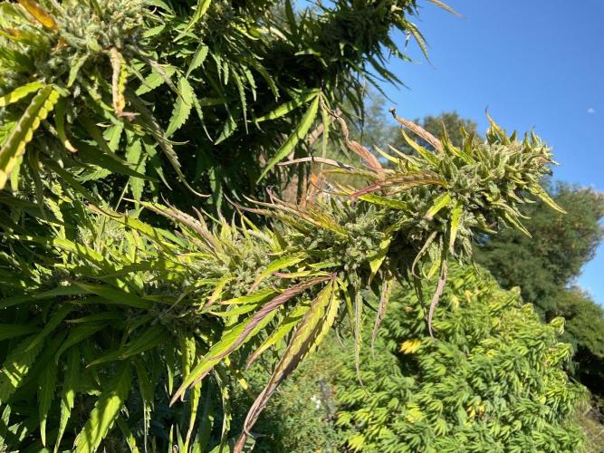OUTDOOR BEAST. Week 24