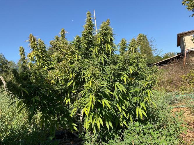 OUTDOOR BEAST. Week 24