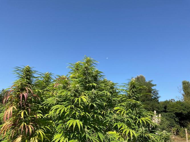 OUTDOOR BEAST. Week 24