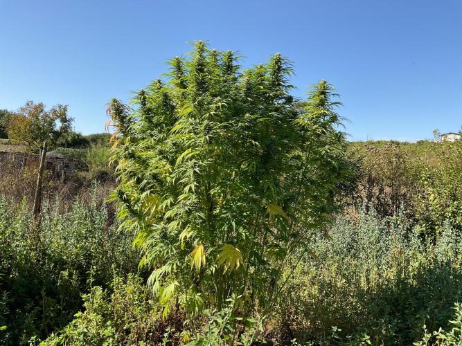 OUTDOOR BEAST. Week 24
