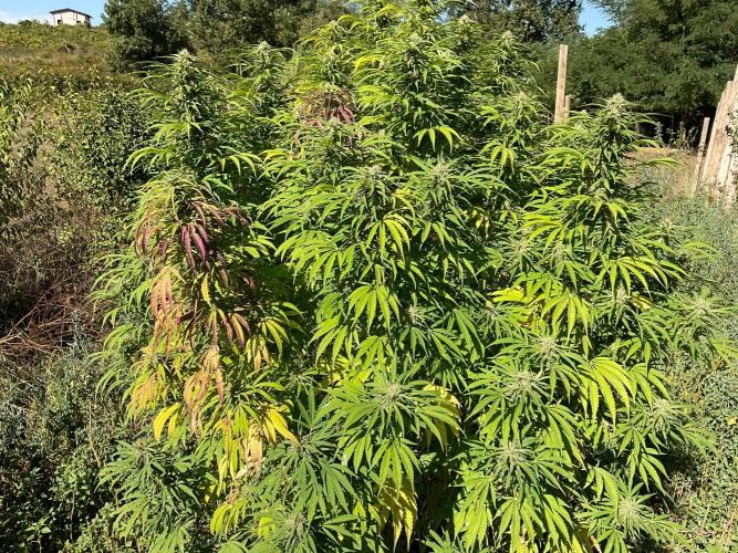OUTDOOR BEAST. Week 24