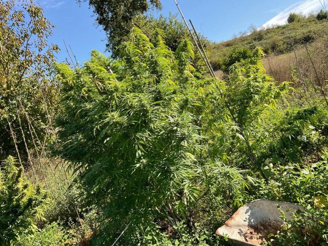 OUTDOOR BEAST. Week 24