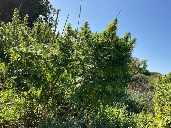 OUTDOOR BEAST. Week 24