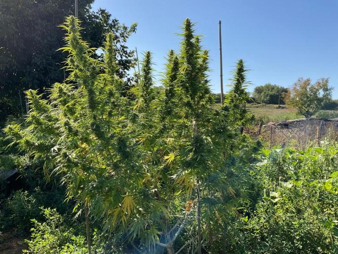 OUTDOOR BEAST. Week 24