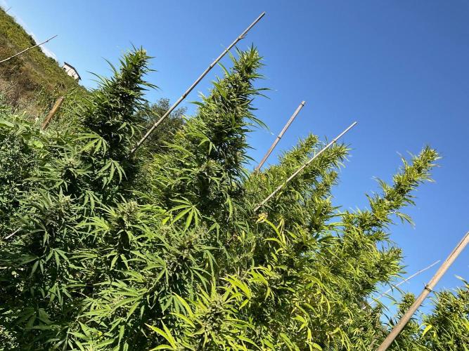 OUTDOOR BEAST. Week 24