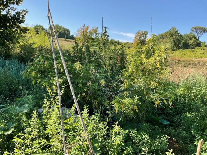 OUTDOOR BEAST. Week 24