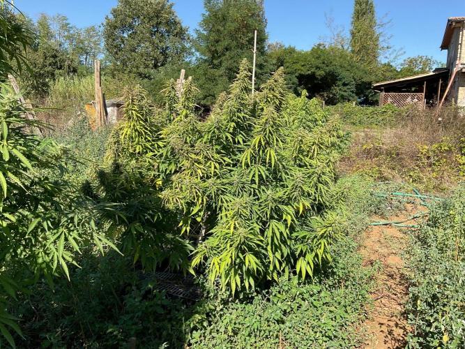 OUTDOOR BEAST. Week 24
