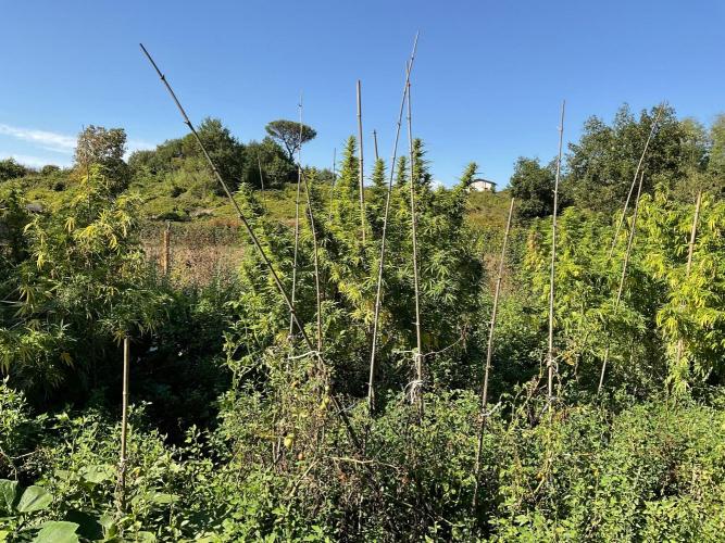 OUTDOOR BEAST. Week 24