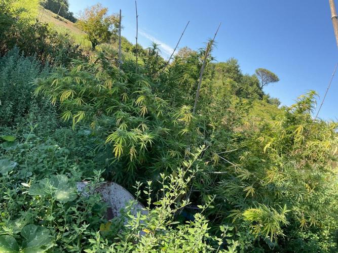 OUTDOOR BEAST. Week 24