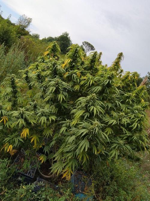 OUTDOOR BEAST. Week 25