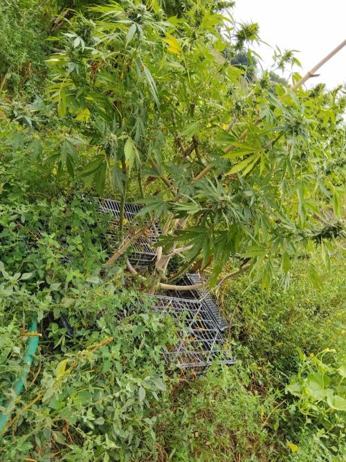 OUTDOOR BEAST. Week 25
