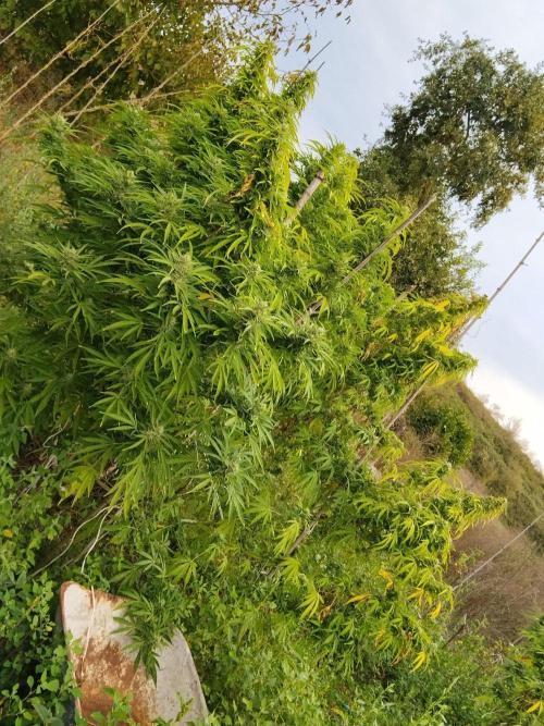 OUTDOOR BEAST. Week 25