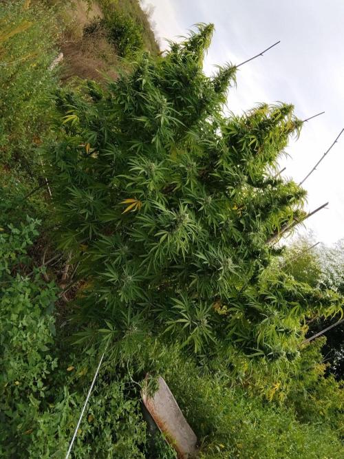 OUTDOOR BEAST. Week 25