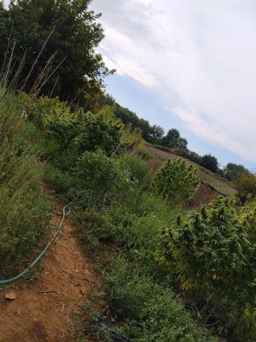 OUTDOOR BEAST. Week 25