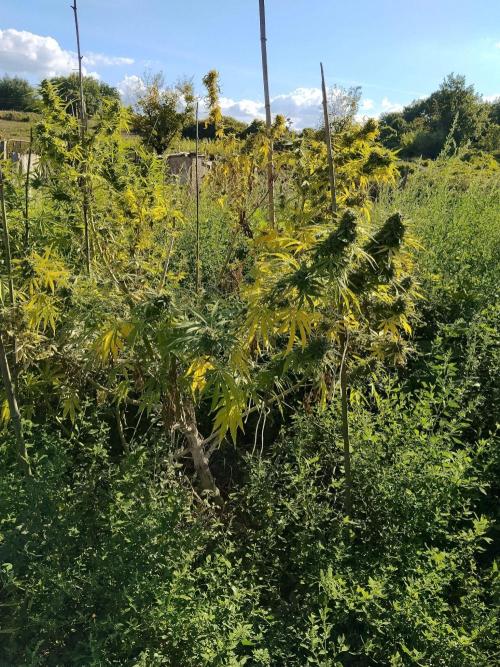 OUTDOOR BEAST. Week 26