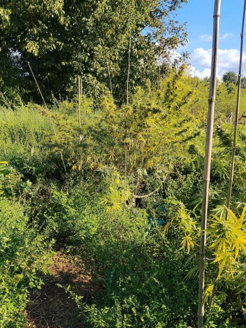 OUTDOOR BEAST. Week 26