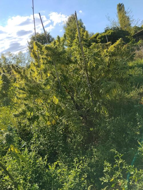 OUTDOOR BEAST. Week 26