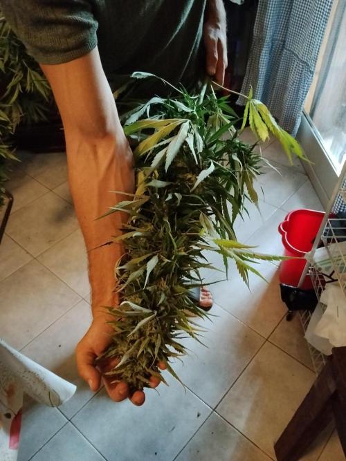 OUTDOOR BEAST. Week 27