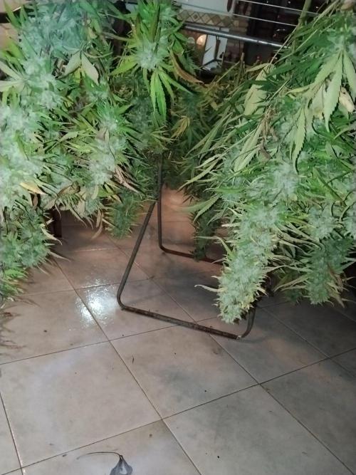 OUTDOOR BEAST. Week 27