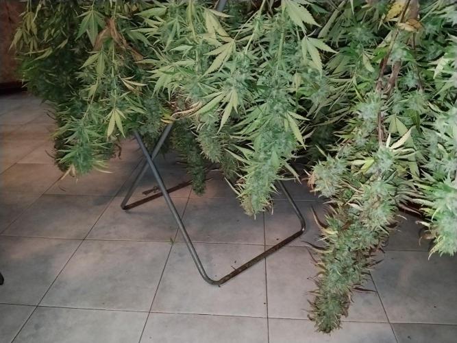 OUTDOOR BEAST. Week 27