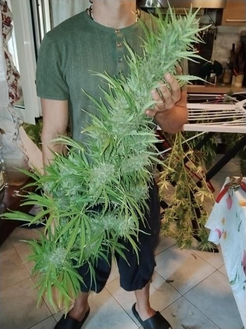 OUTDOOR BEAST. Week 27