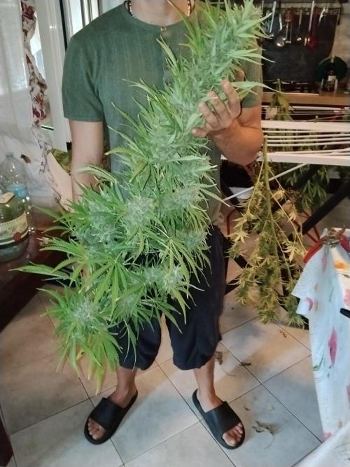 OUTDOOR BEAST. Week 27