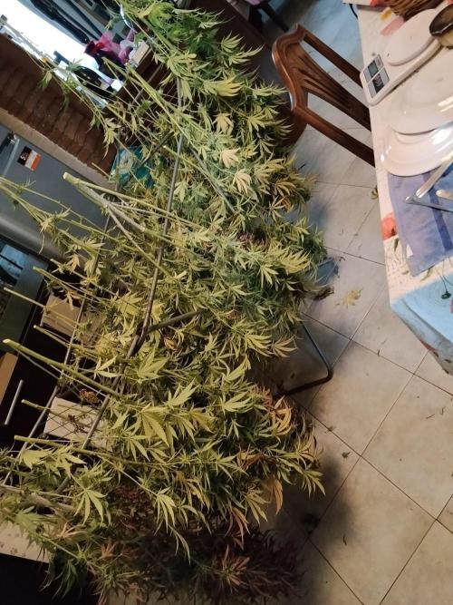 OUTDOOR BEAST. Week 27