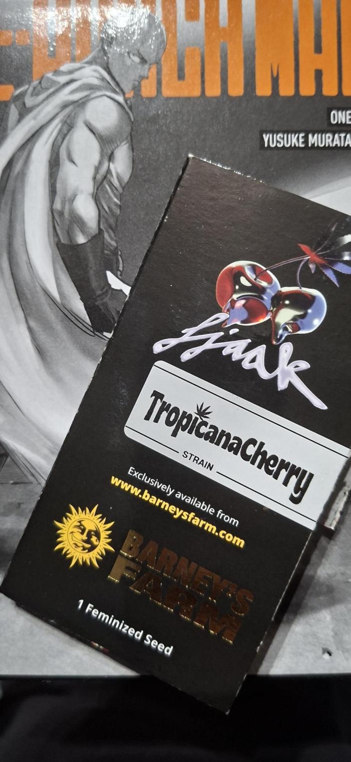 Tropicana Cherry. Week 0