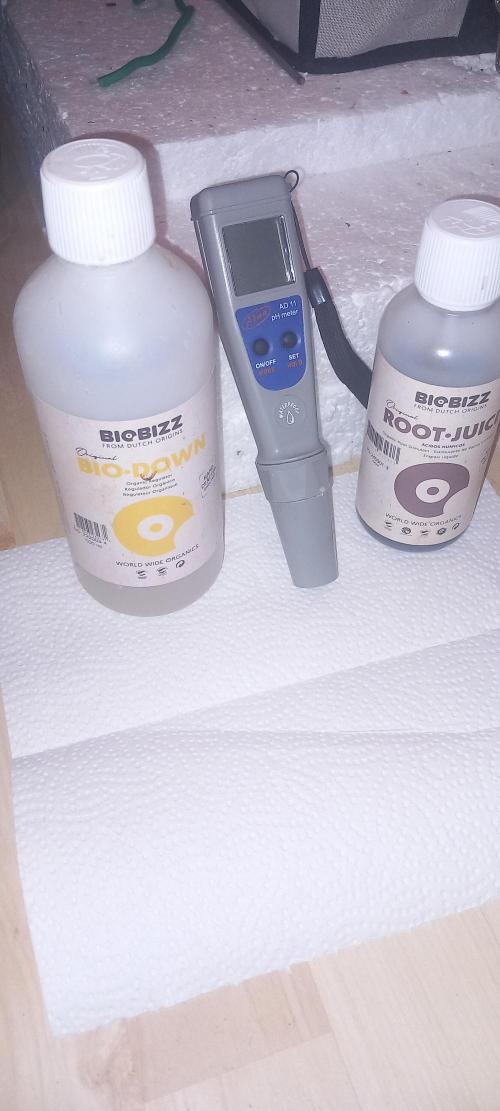 Cali Funk #Thseeds. Week 0