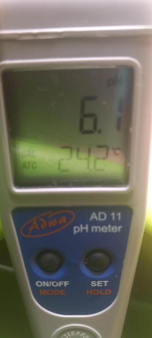 Cali Funk #Thseeds. Week 1 - Ph wert eingestellt.