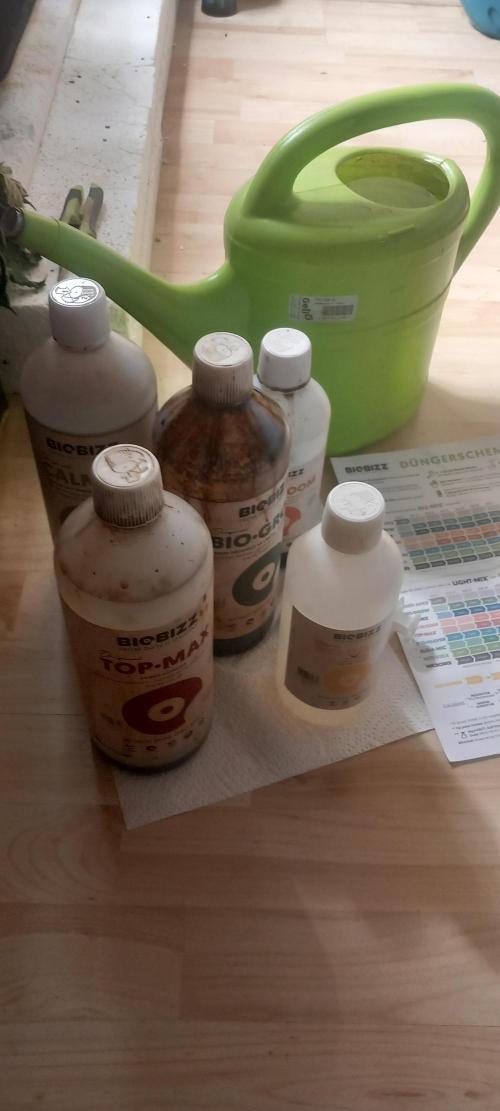 Cali Funk #Thseeds. Week 9 - Biobizz.