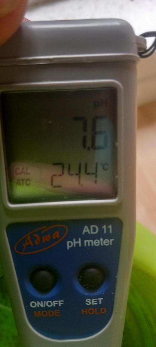 Blue Zushi. Week 1 - Ph wert reines Leitungswasser.