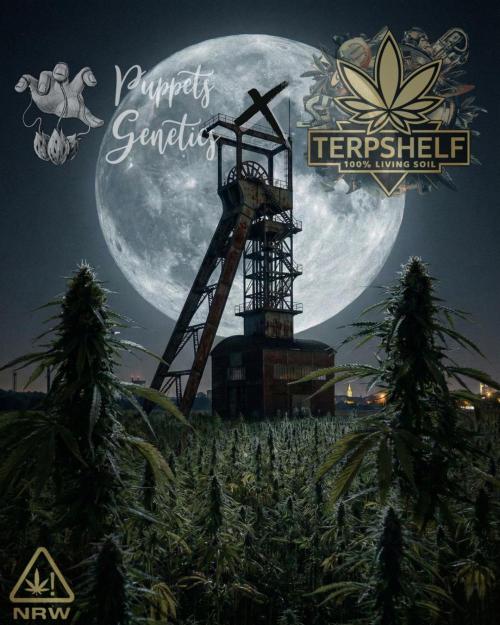 Terpshelf's TerpLog #1. Week 0