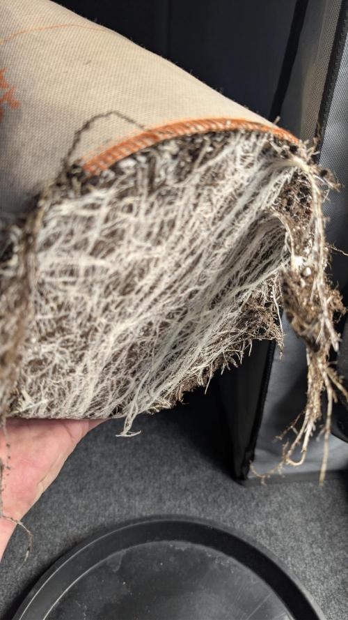 Terpshelf's TerpLog #1- Gamper. Week 5