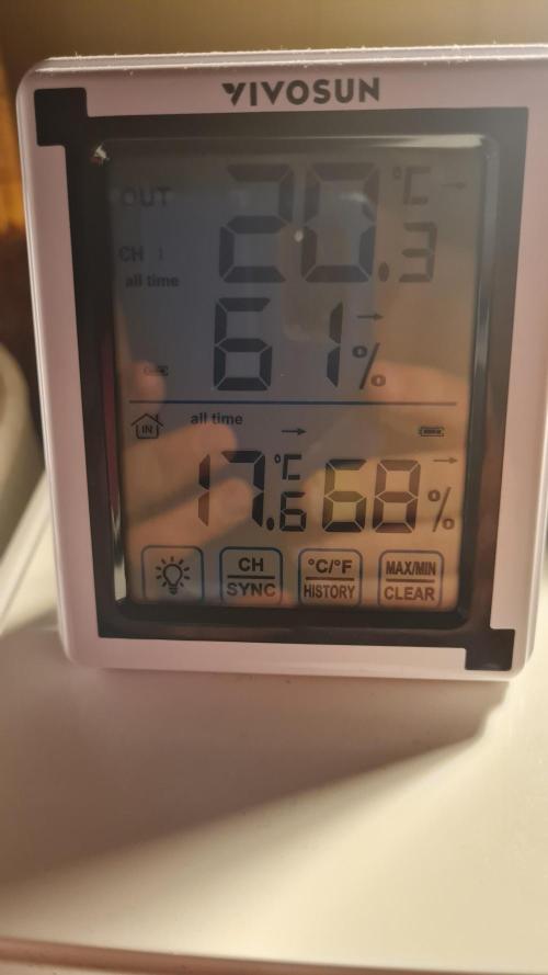 Zing Me 😊. Week 11