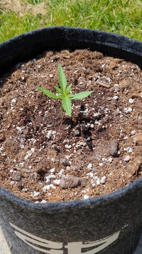 Sundae Worship 🙏. Week 4