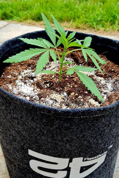 Sundae Worship 🙏. Week 5